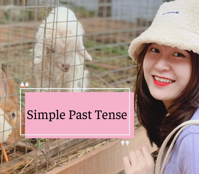 simple-past-tense-definition-structure-rules-uses-and-examples