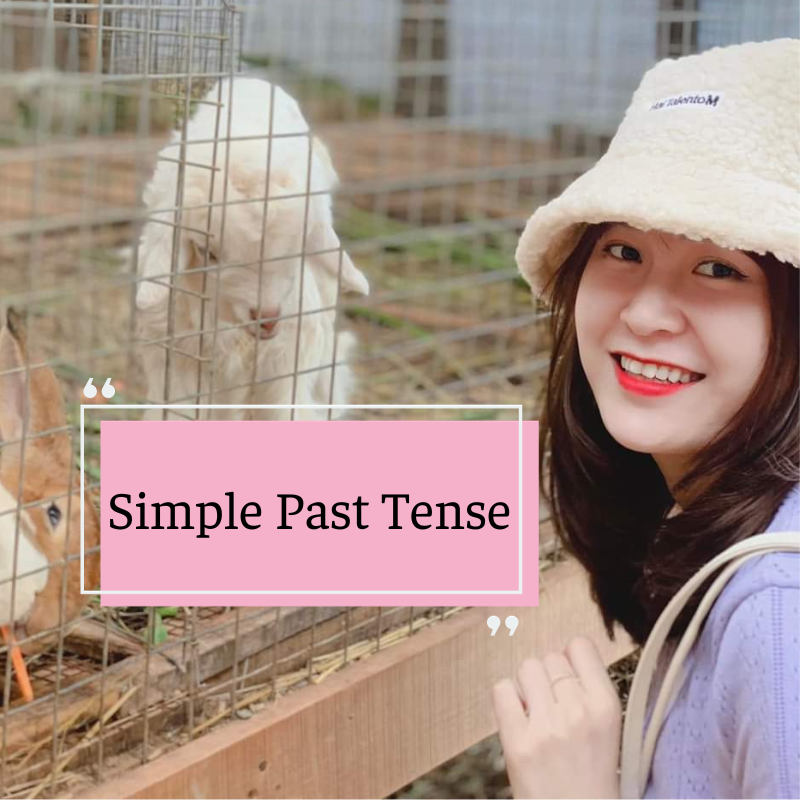 simple-past-tense-definition-structure-rules-uses-and-examples